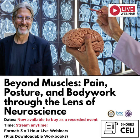 Beyond Muscles: Pain, Posture, and Bodywork through the Lens of Neuroscience