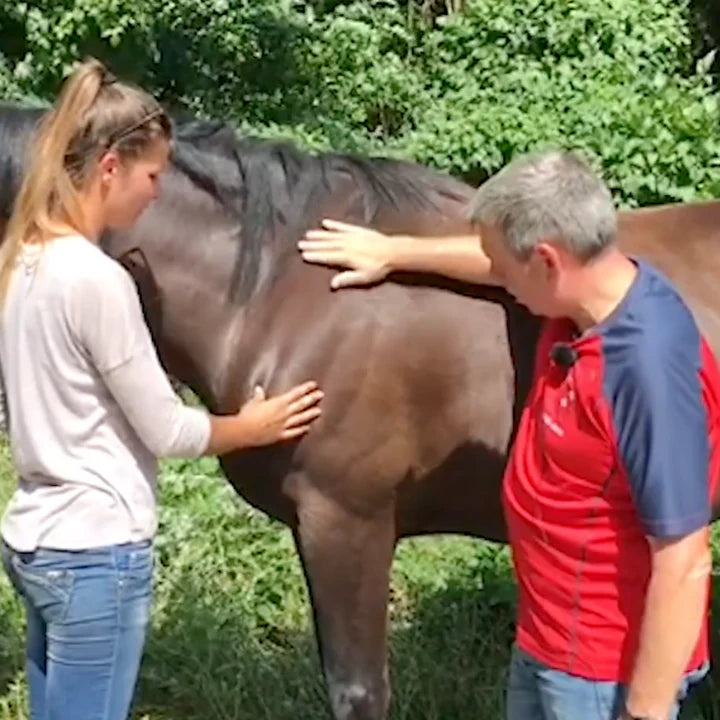 Trigger Point Therapy for Horses (4 CEUs)